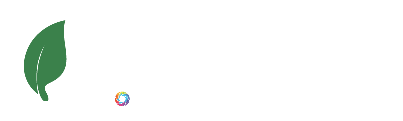 Website Powered by 100% Renewable Energy with Coliptus Hosting